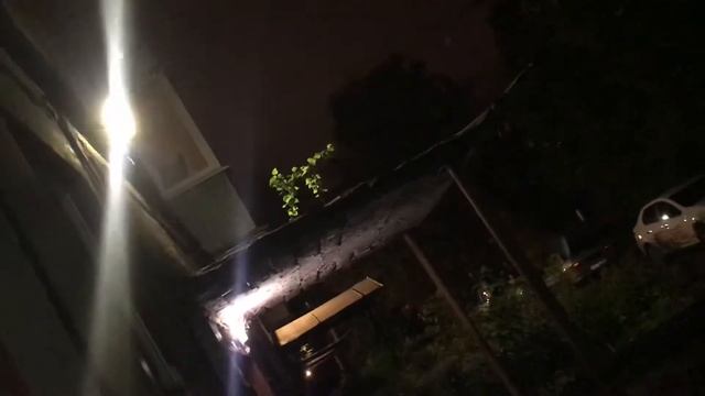 Дерево растущие на козырьке подъезда думает что он кошка смотреть онлайн