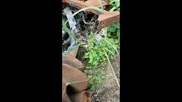 металоприёмка с мечиками и обзором