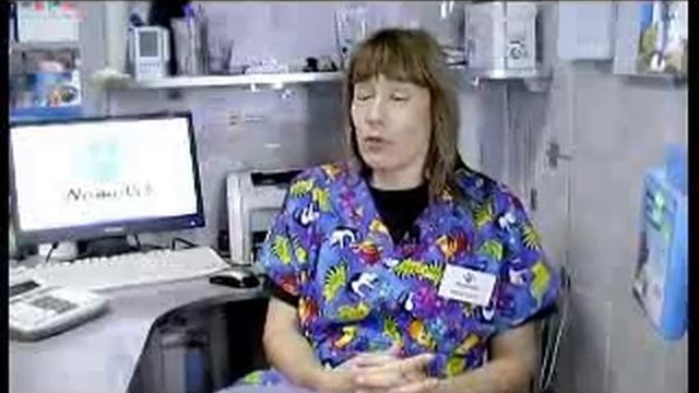 KLINIKA VET nova ara.flv смотреть онлайн
