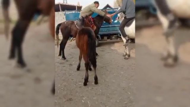 хандын уругу сатылат смотреть онлайн