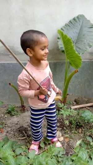 Ayesha Picking Lemon #Lemon #Shorts #Viral_Videos #Ayesha