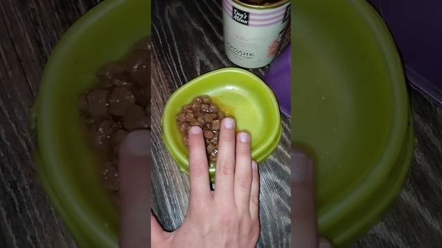 Обзор на влажный корм для собак от фирмы:"Dog's Menu".❤️🐕🥰 смотреть онлайн