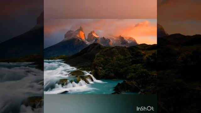 36 Бродяги часть 36 #годзайки, #мишьен, #простоенот, #Зверскиестихи,#prostoenot, #чародейка  