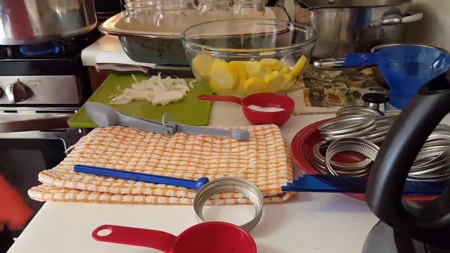 Canning Yellow Squash смотреть онлайн
