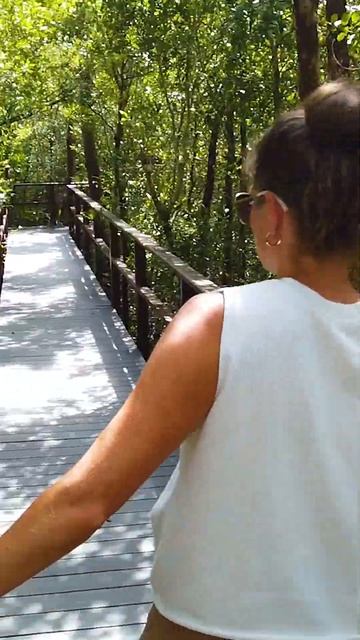 AMAZING Reasons to Visit Grand Cayman! смотреть онлайн
