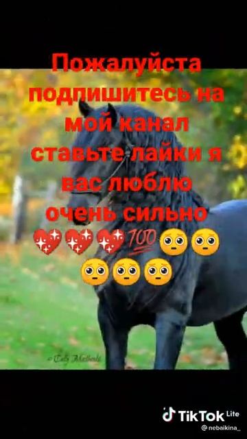 лошадь 🐎