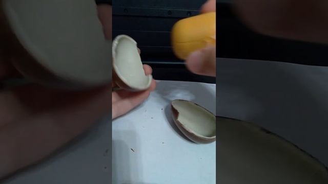 Открываю 5 Киндер Сюрпризов *открыл не все будет часть 2*