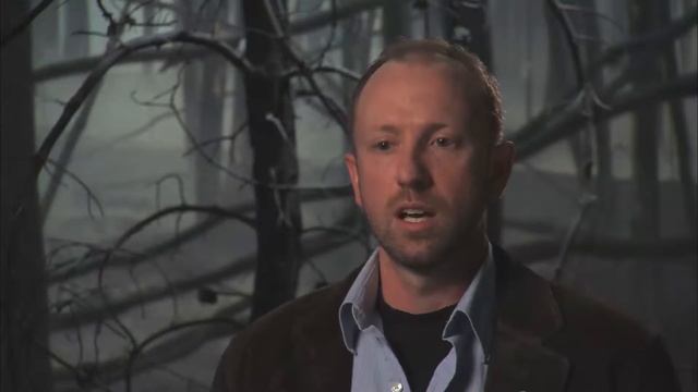 Sélections Naturelles: Feux Et Fiantes De Coléoptères