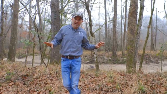 Deer And Duck Hunting Land For Sale Woodville. Green Lakes Is  Sportsman Paradise! #huntinglandman