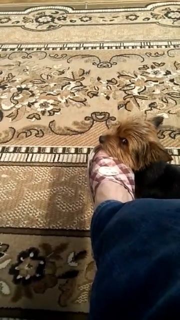 Любим лизать ноги блин😋