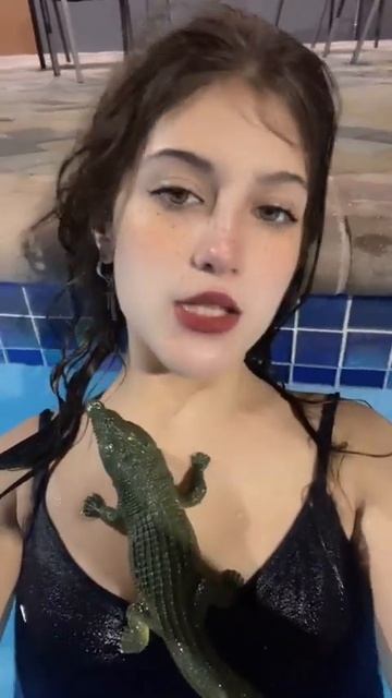#shorts gn little pet alligator, i trained him well. 🐊 only in florida смотреть онлайн