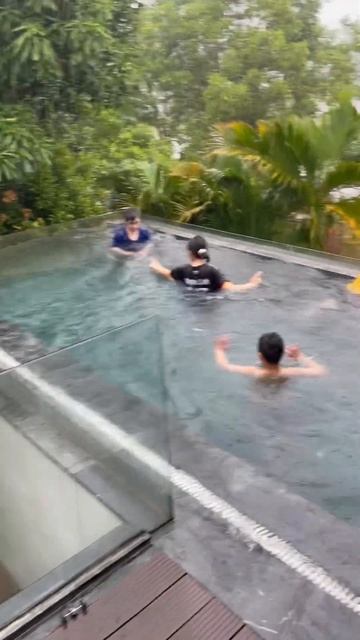 Bơi Dưới Mưa Flamingo