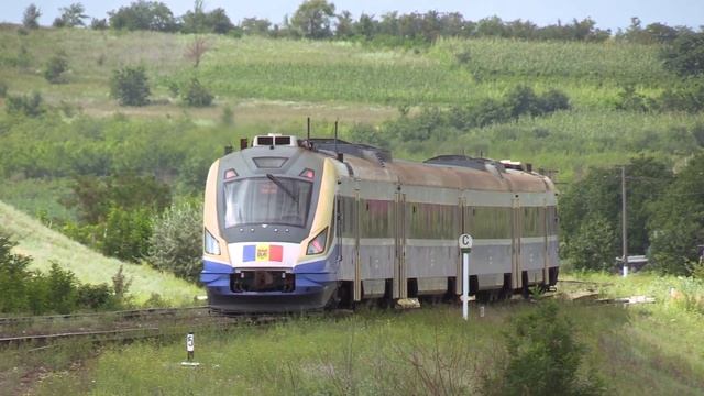 Дизель-поезд Д1М-004 на о.п. 1636км / D1M-004 at 1636km stop смотреть онлайн