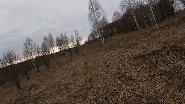 Досадные промахи по тетереву и долгожданный трофей смотреть онлайн