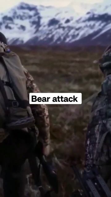 Massive Kodiak Bear mauled Brady and Steve Alive #animals #animalattack #bear #shorts #youtubeusa смотреть онлайн