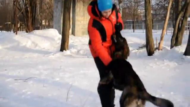 Blackberry House O'Troya смотреть онлайн