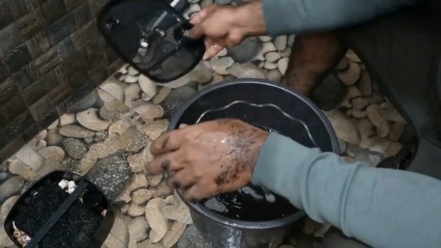 Arowana fish tank cleaning|parrot fish|severum|sucker |discus|my way channel|ph testing|filter clea смотреть онлайн
