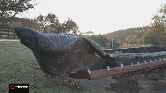 Fallen 700-year-old pōhutukawa transformed into carved waka смотреть онлайн