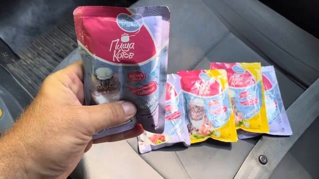 #мариуполь КУПИЛ НЕМНОГО ЕДЫ ДЛЯ МИЛЫХ БЕЗДОМНЫХ КРОШЕК смотреть онлайн