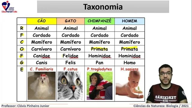 Sistemática e Taxonomia - Professor Clóvis Pinheiro Junior смотреть онлайн