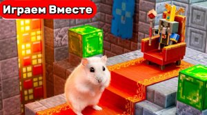 Лабиринт для Хомяка ! Выбираемся из ПОДЗЕМЕЛЬЯ С ЛОВУШКАМИ ! Умный Хомяк ! Видео для детей