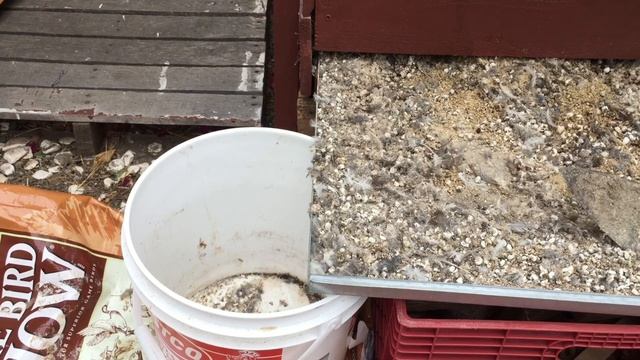 How to Compost Quail and Chicken Manure, No Odor, No Mess смотреть онлайн
