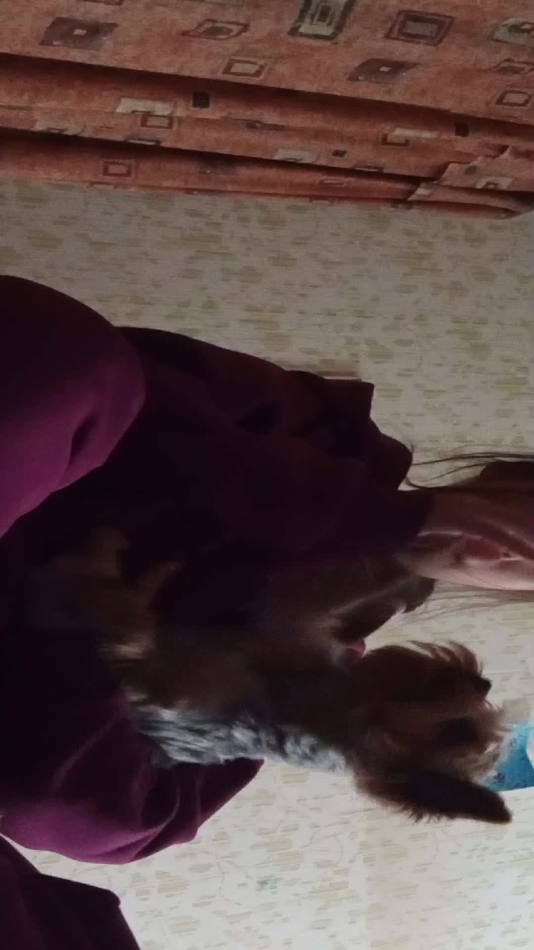 страдаю фигнëй смотреть онлайн