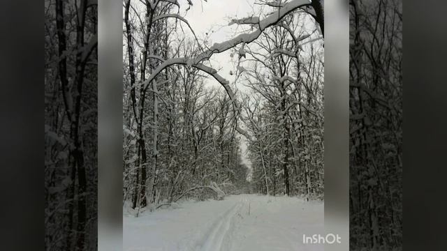 Белые леса_ 2019 смотреть онлайн