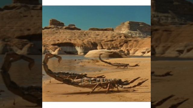 Brontoscorpio, the Thunder Scorpion