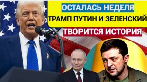 ШОК На следующей неделе решится судьба Украины — Трамп, Зеленский и Путин ИСТОРИЧЕСКИЙ МОМЕНТ