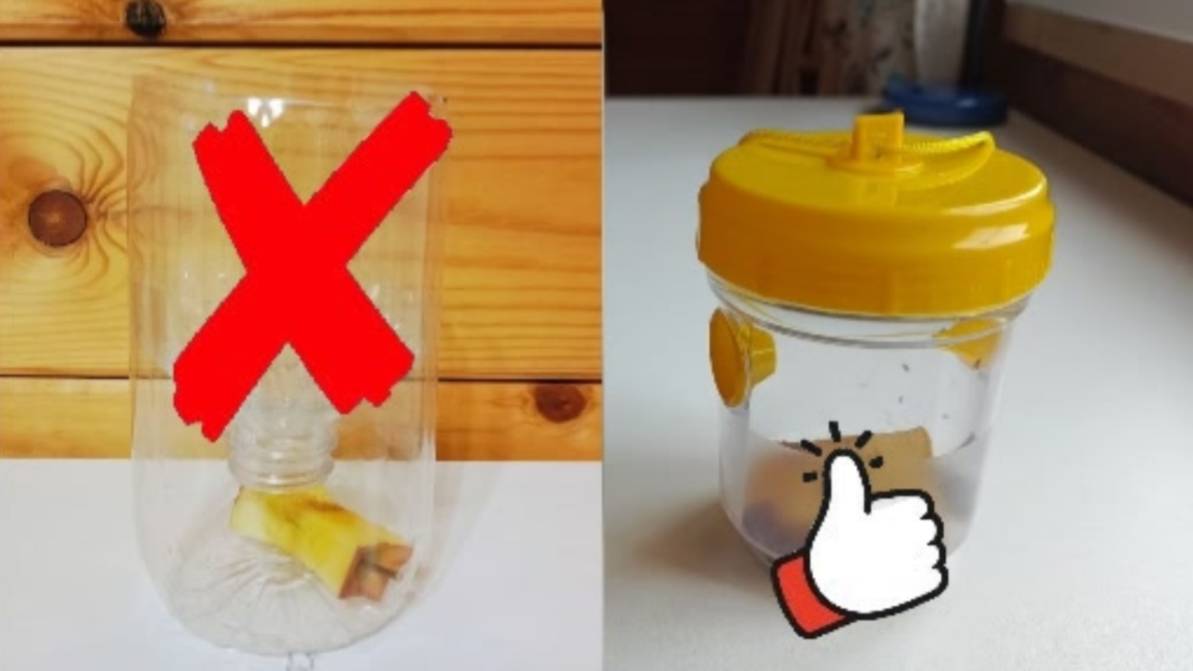 Осоловка - Узнай как применить в быту смотреть онлайн