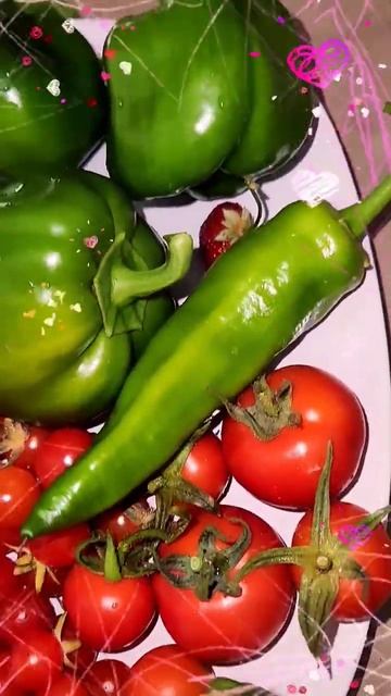 Today's Backyard Goodies ✨️🍎🍅🌱🍃🫑🥰🧑🏾🌾 #Apples🍎 #Peppers🫑 #Herbs🌱 #Tomatoes🍅 #CranberryHibiscus 💜 смотреть онлайн