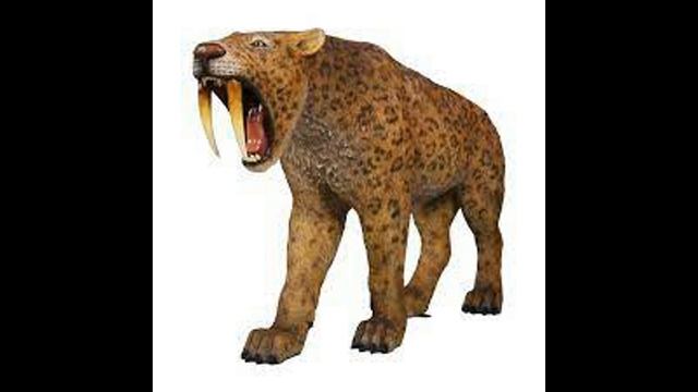 Extinct Animals Could Be Resurrected ! | Facts & Stories смотреть онлайн