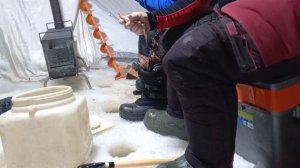 Рыбалка в Якутии. Ловля на мормышку в палатке.