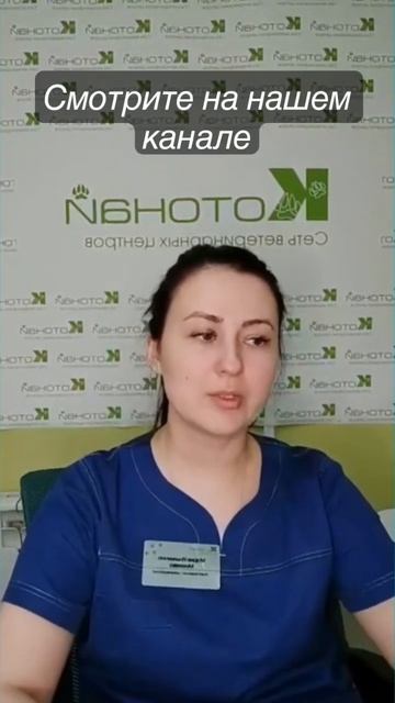 Реанимация у собак и кошек смотреть онлайн