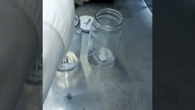 Лайфхак для кухни. Как сохранить зелень свежей смотреть онлайн