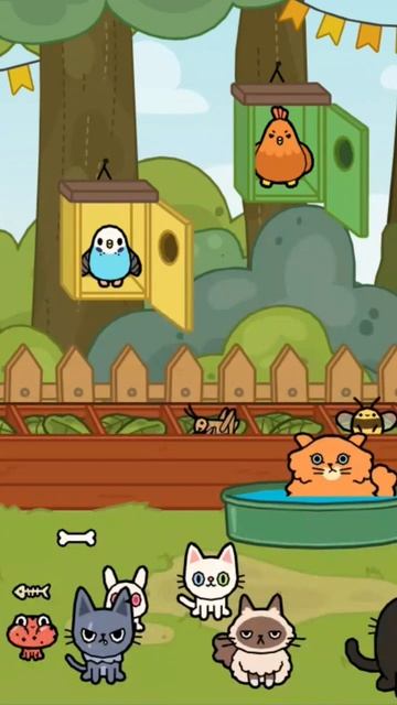 тока бока: план животных смотреть онлайн