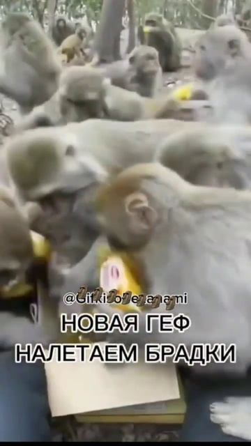 просто гифка смотреть онлайн