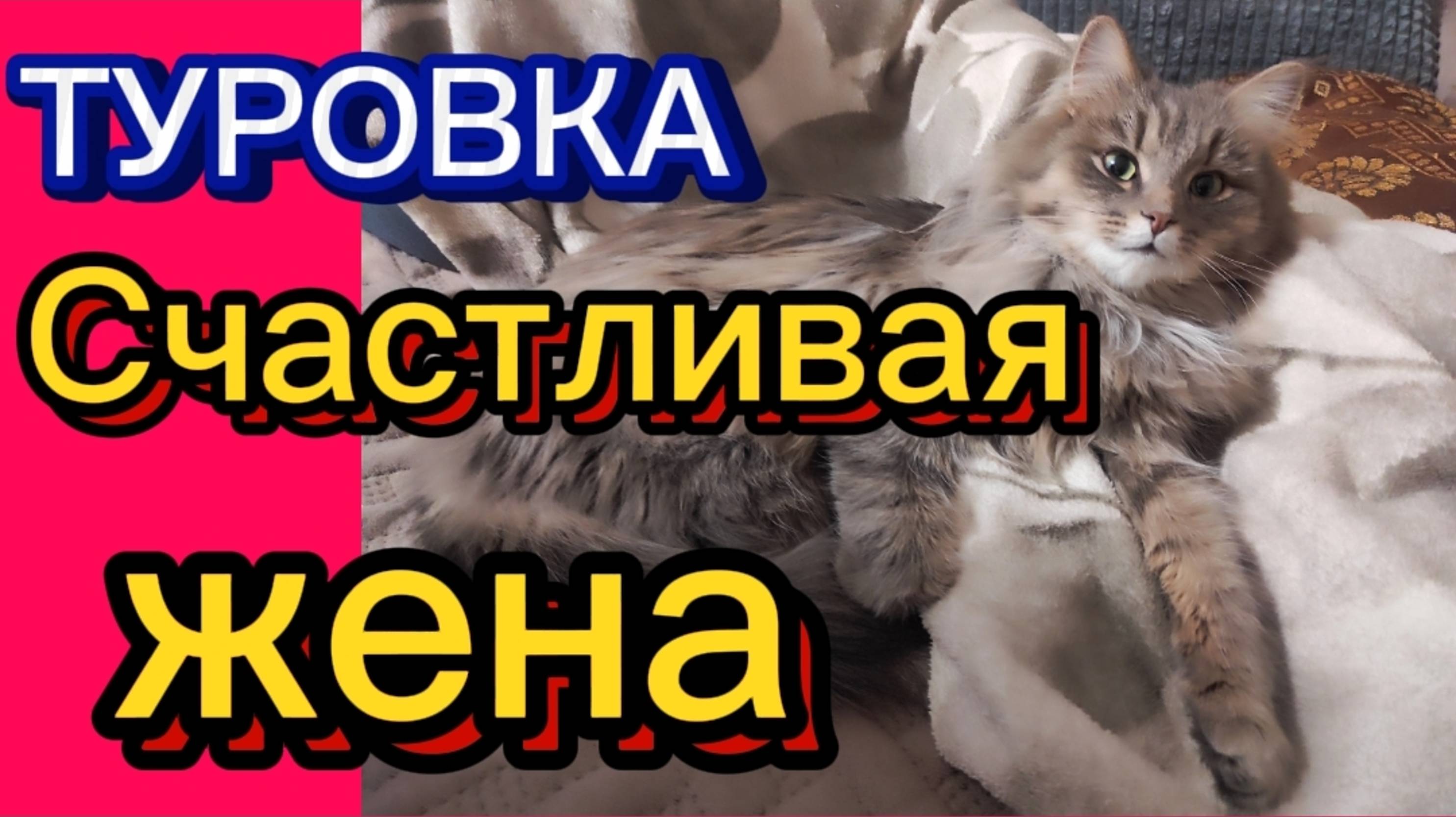 ДЕРЕВЕНСКИЙ ДНЕВНИК. Счастливая жена. смотреть онлайн