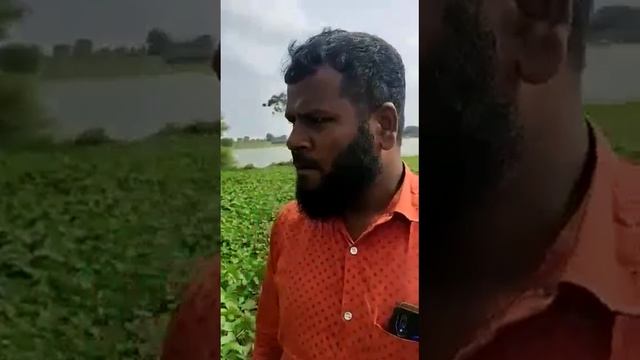 soya bean zabardast result| indiagrow Products | Jai mi lifestyle смотреть онлайн