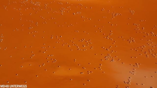 Las 20 Aguas Más Peligrosas Y Misteriosas De La Tierra смотреть онлайн