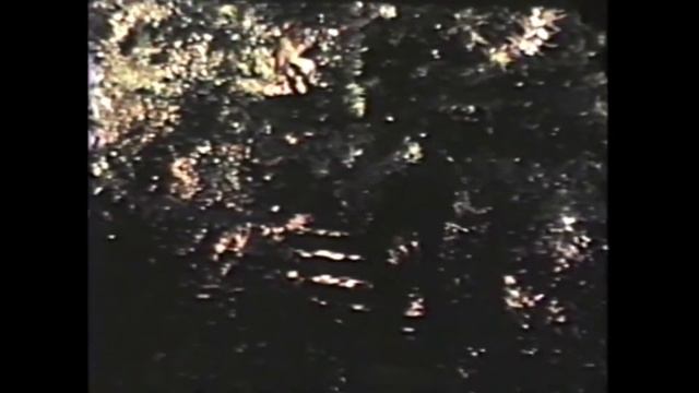 Mill Valley CA 1971 West California Avenue смотреть онлайн