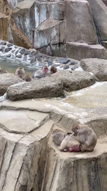 No word's to say смотреть онлайн