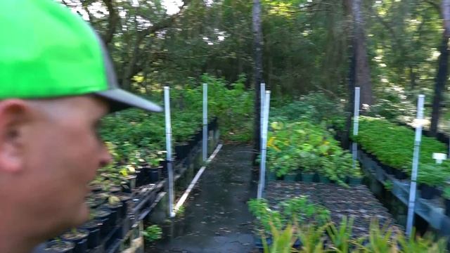RARE & EXCITING Nursery Additions (Late April Update) смотреть онлайн