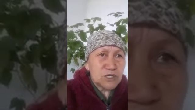 Киста оорусунан соонун - натыйжа! +996707509003 смотреть онлайн