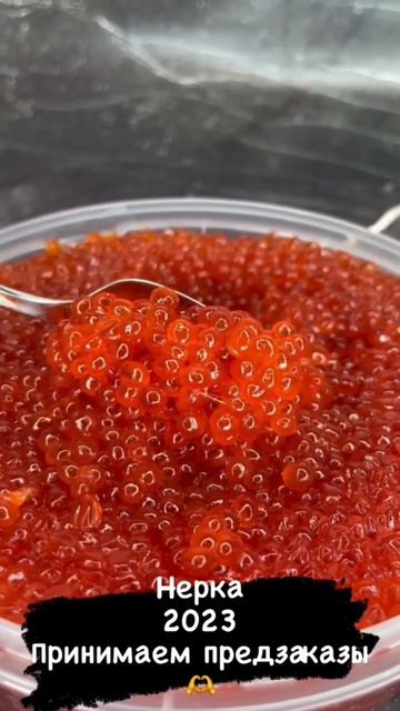 Икра Нерки 2023 года!!!🔥 Камчатка смотреть онлайн