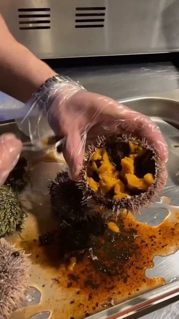 Как открыть морского ежа. Морской ёж смотреть онлайн