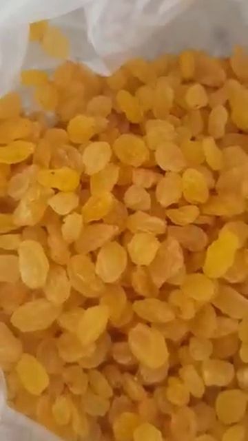 Supplier and Exporter of Iranian Dried Fruit & Nuts (Raisins) смотреть онлайн