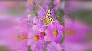 Доброго весеннего дня!