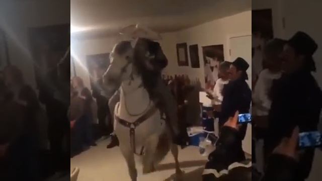 соседи сверху на коне смотреть онлайн